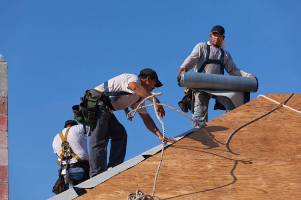 Best Storm Damage Roof Repair  in Verona, VA